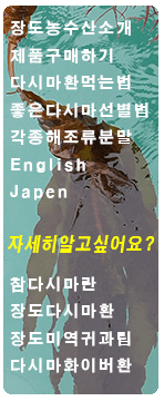 ���ν�ŸƮ �����޴�