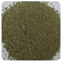 �嵵�̿��� ���� ������ǰ���� �ܼ� p.p ���۹� �������� ����� ���ΰ� ����